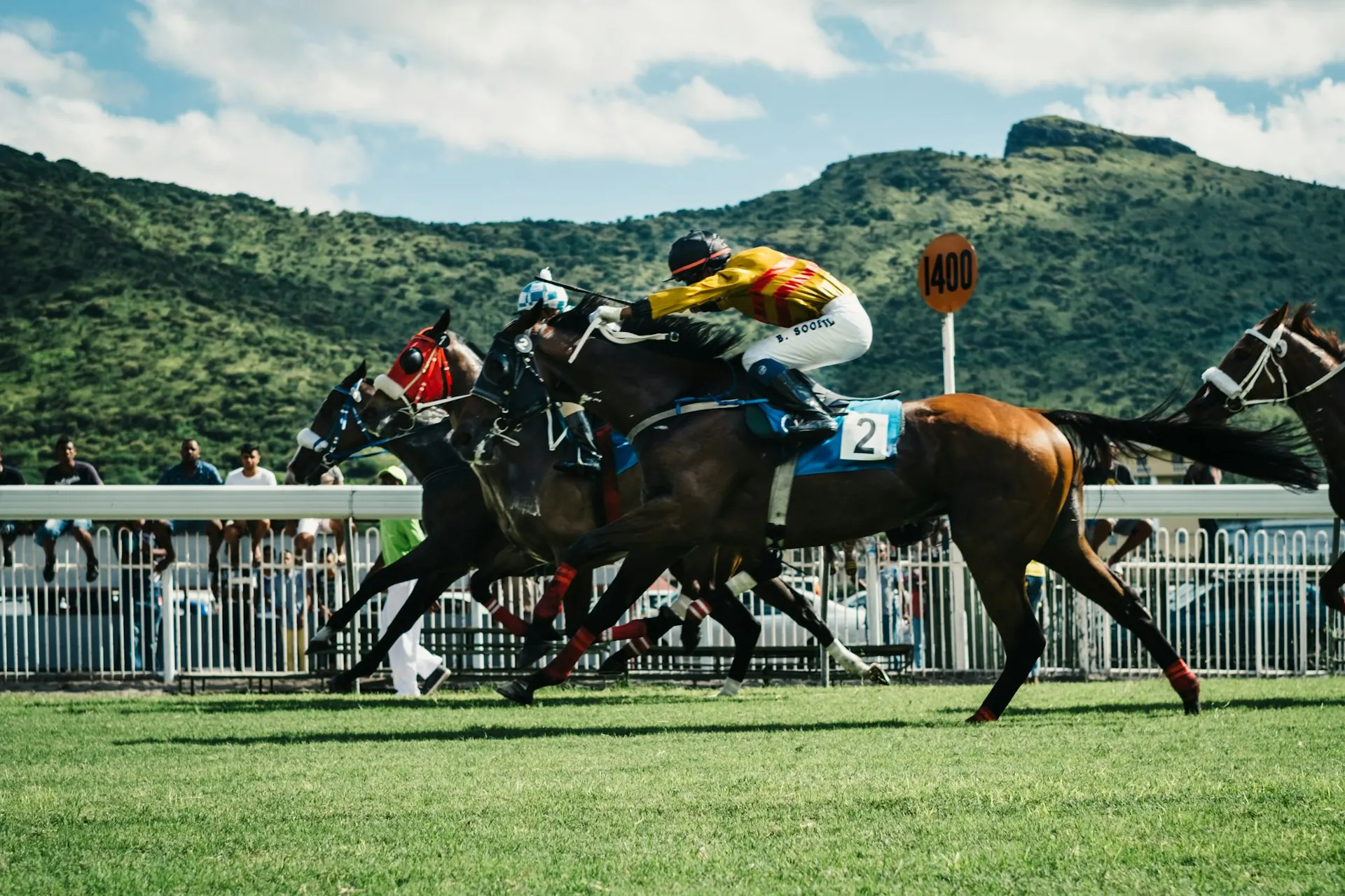 Horses racing down the track
