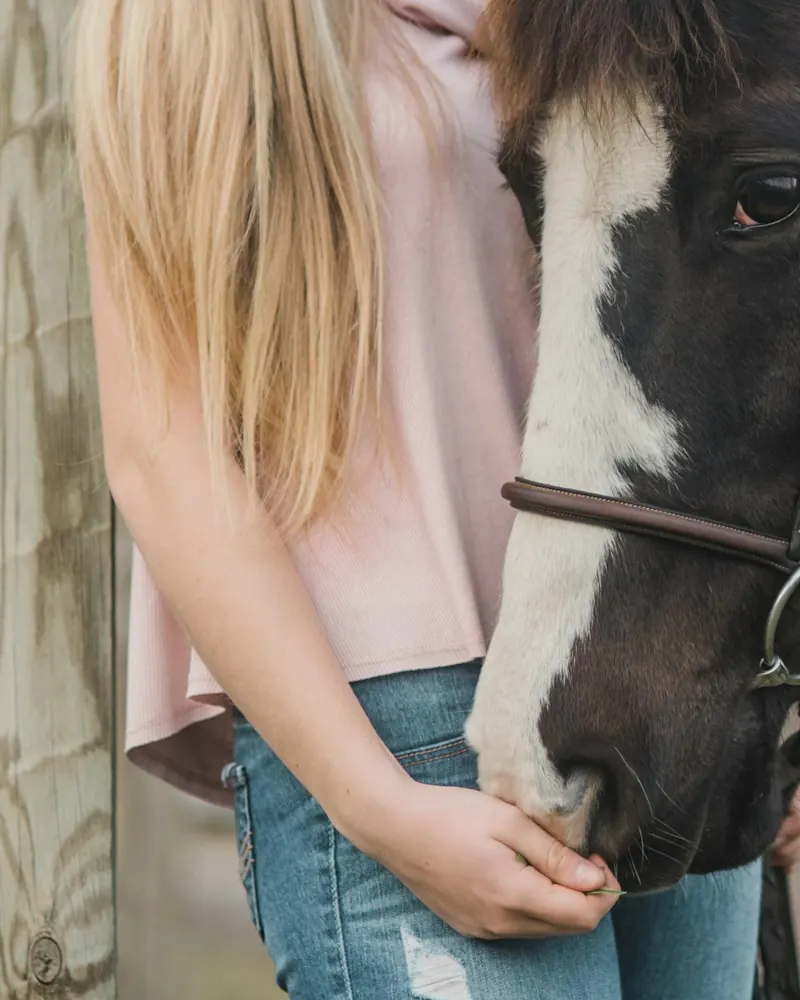 A girl gently greeting a horse