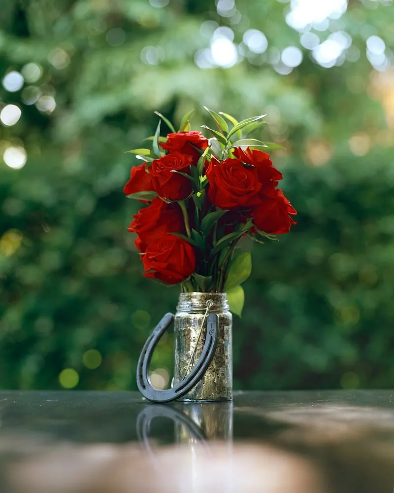 Red roses in a glass vase