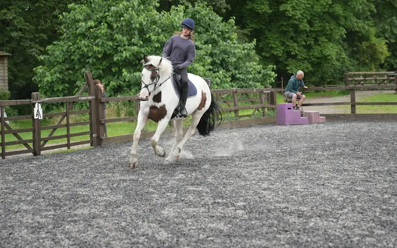 A rider and horse working in an arena