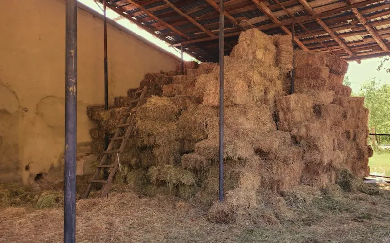 Hay stacked in the barn